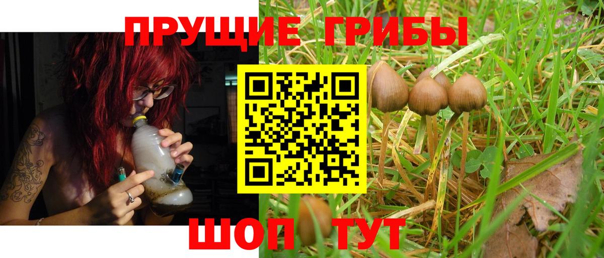 Псилоцибиновые грибы ЛСД  Галлюциногенные грибы Psilocybine cubensis  купить наркоту  Шахты  Вход с VPN 